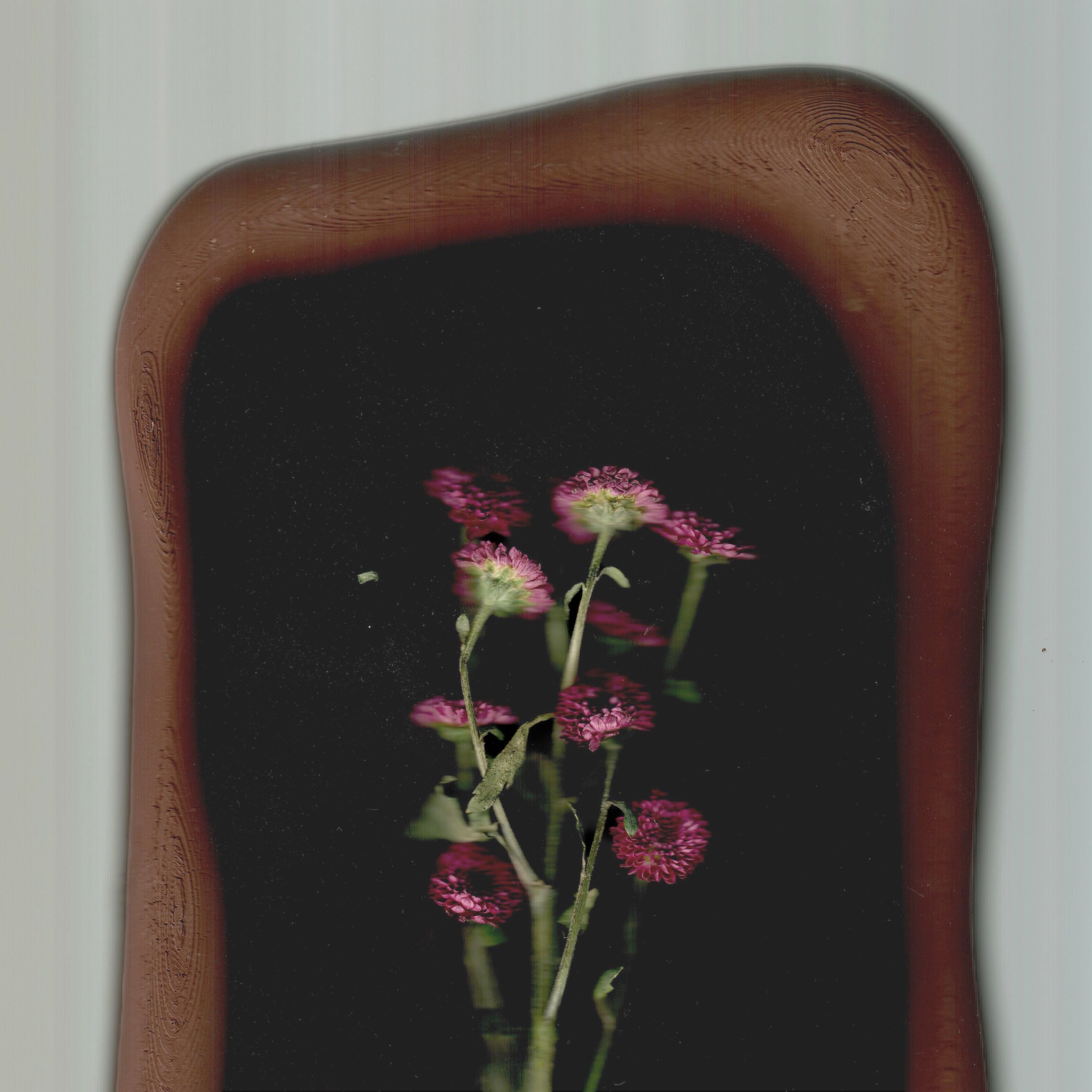 Le Plateau Édition Saison